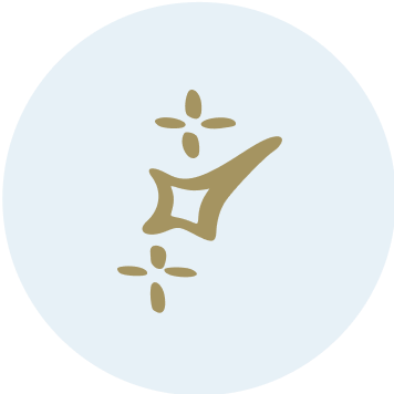 Icon 3